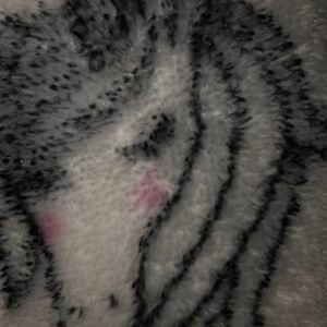 Meet your Posher, Marie